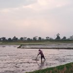 Petani Merugi Akibat Cuaca Ekstrim, Pemkab Bandung Siapkan Rp26 Miliar untuk Stimulan Pupuk