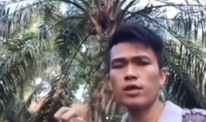 Imblas Harga Sawit Anjlok, Viral Pemilik Kebun Mengundang Maling Se-Indonesia