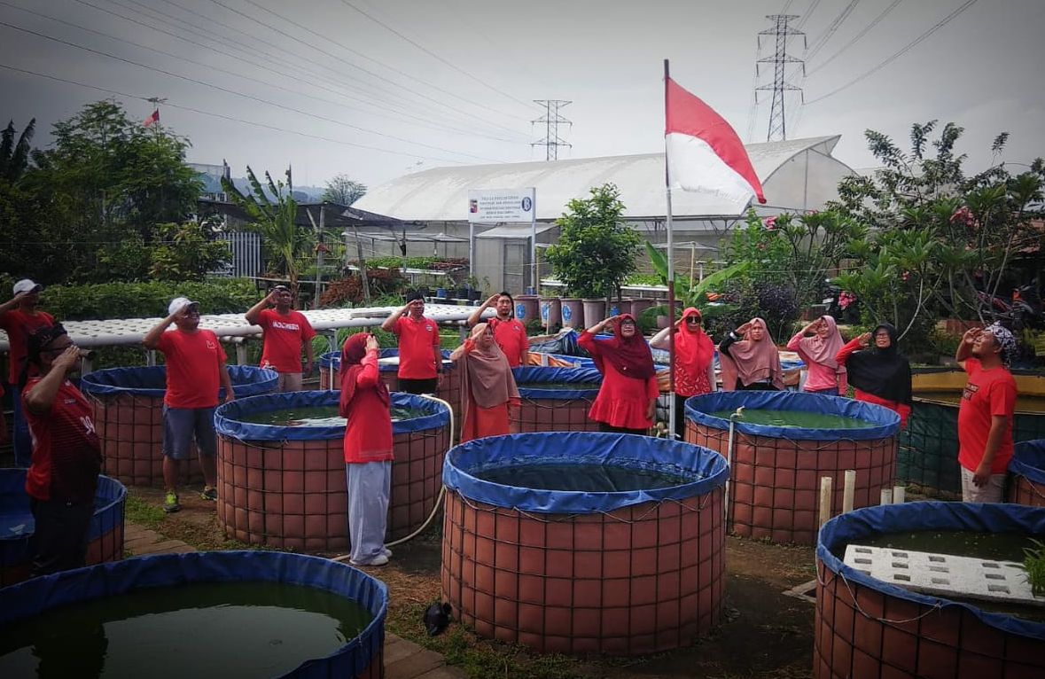 Petani di Bogor Kibarkan Bendera 'Merah Putih' di Kolam Lele