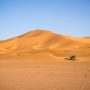 Link Foto Gurun Sahara Viral Di TikTok, Isinya Ternyata Bule Sedang.....
