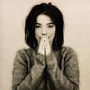 Lirik dan Terjemah Lagu Bjork – Hyperballad, So I Can Feel Happier