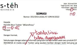 Viral Penulisan Surat Somasi dari Tim Legal Es Teh Masih Berantakan