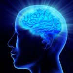 LINK Tes Ujian Inteligensi (IQ) Gratis, Asah Otak Kamu di Sini!
