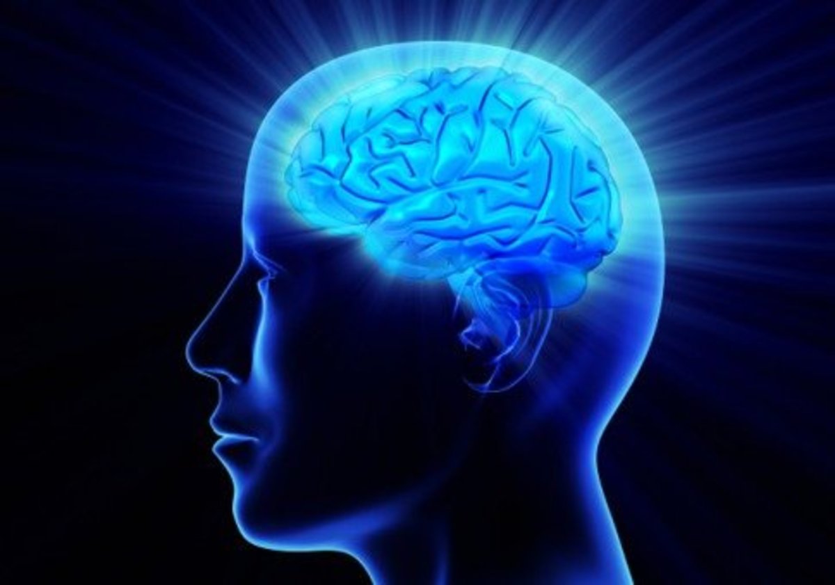LINK Tes Ujian Inteligensi (IQ) Gratis, Asah Otak Kamu di Sini!
