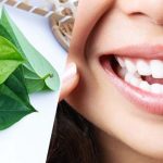 Manfaat Daun Sirih untuk Kesehatan Gigi dan Mulut