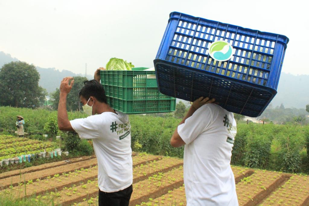 Para Petani di bawah bidaan EdenFarm tengah melakukan panen hasil pertanian berupa sayur-sayuran untuk memberikan apresiasi di hari pelanggan nasional.