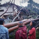 9 Pohon Tumbang, Timpa Rumah Mantan Wali Kota Bogor, Bima Arya Minta Warga Siaga