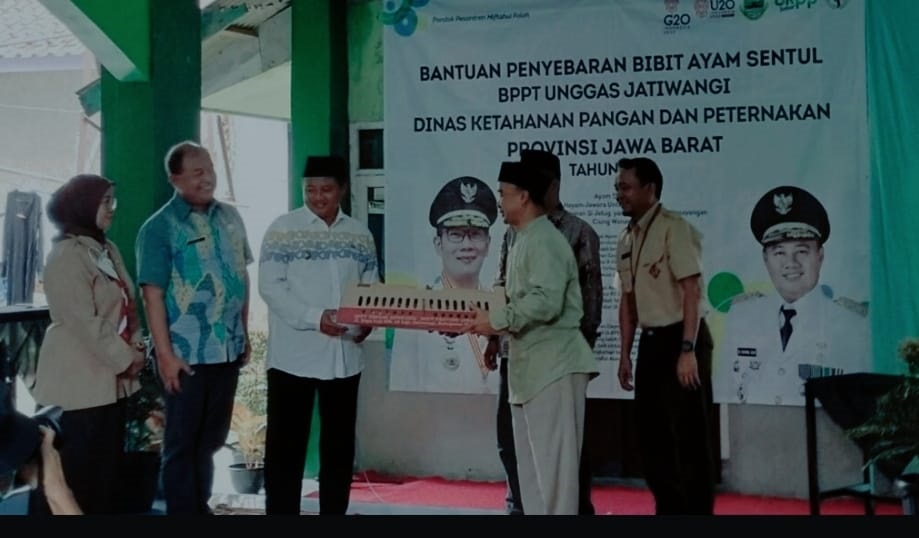 Wakil Gubernur Jawa Barat, Uu Ruzhanul Ulum saat memberikan bantuan 1.000 bibit ayam di Ponpes Miftahul Falah Kasomalang, Subang, Jumat (14/10/2022)