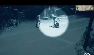 Video Kemunculan Khodam Macan Putih Dari Tubuh Pria Saat Hendak Dirampok, terekam CCTV Hebohkan Publik (tangkapan layar video)