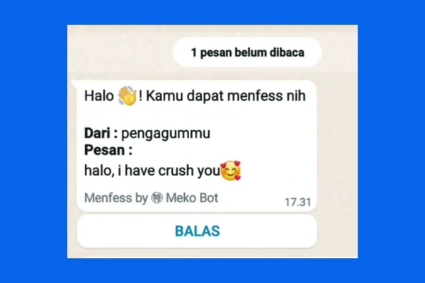 wa bot confess