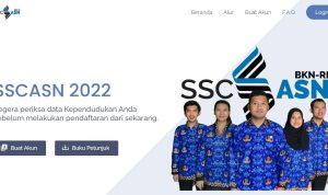 info pendaftaran pppk 2022