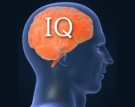 Link Tes IQ Gratis dan Mudah (Gambar: Caltech)