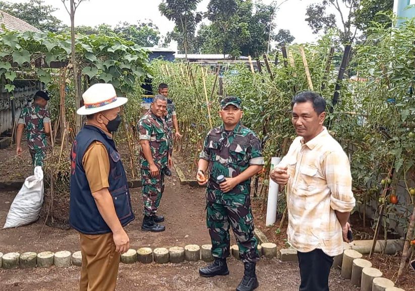 Di sela-sela kesibukannya, ternyata berhasil mengembangkan tanaman sayur-sayuran di lahan tidur milik Kompi Kaveleri (KIKAV) dan Pussenkav.