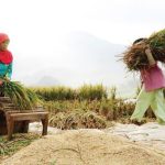 Kementan memberikan target produksi beras sebanyak 32,07 juta ton pada 2022. Salah satu faktor penopang produksi adalah luas tanam.