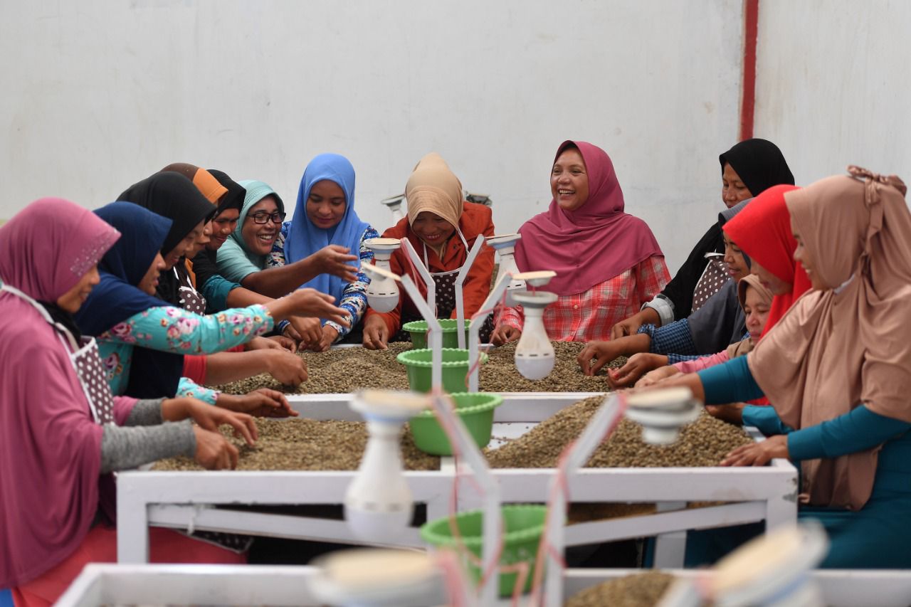Provinsi Aceh, tersebut membesarkan Koperasi Pedagang Kopi Ketiara hingga mampu mengekspor Kopi Gayo ke mancanegara.