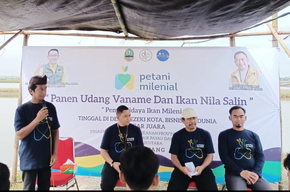 DKP Jabar Panen Udang Vaname Milenial Juara
