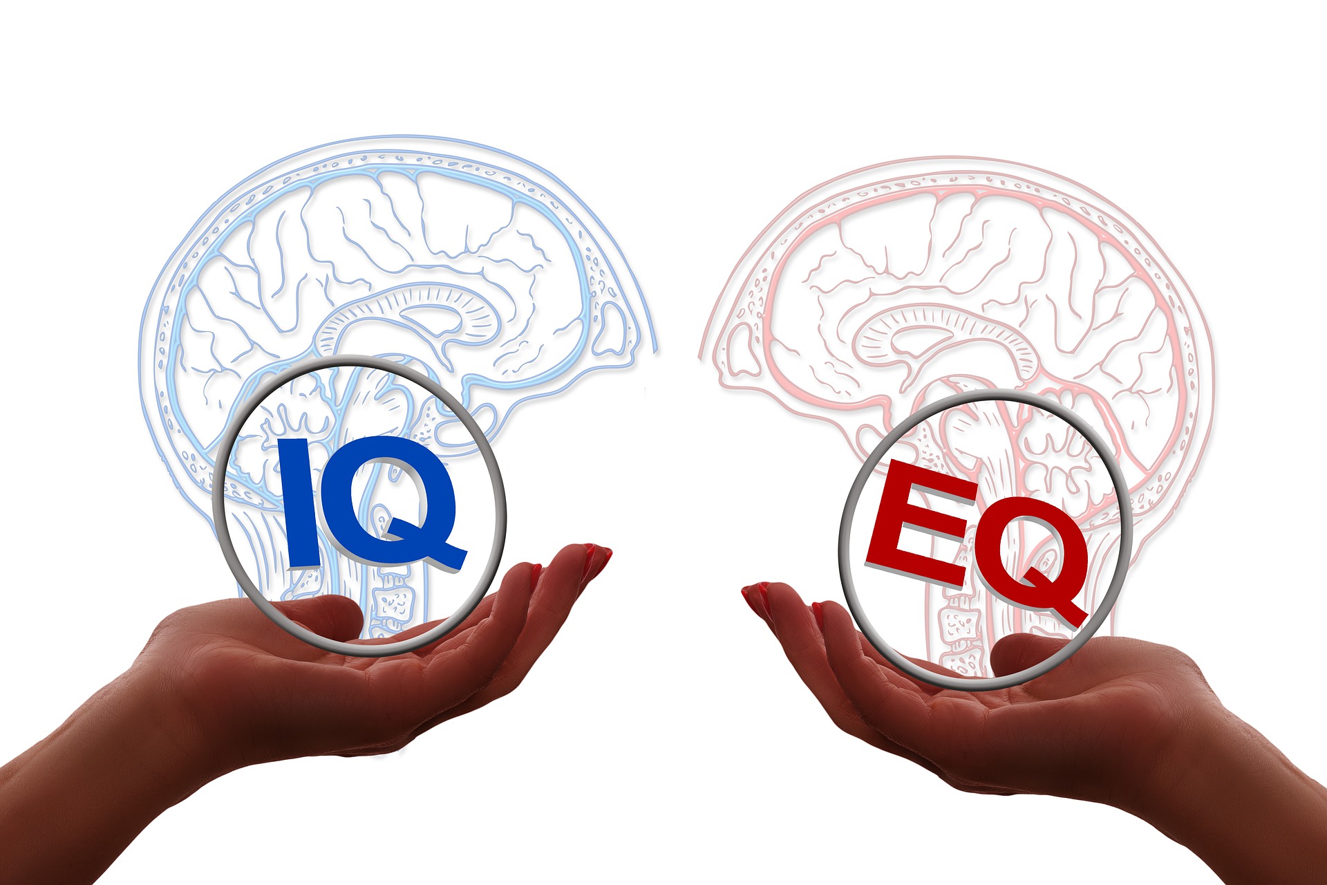Tes IQ Mudah Tanpa Bayar/Pixabay/Geralt
