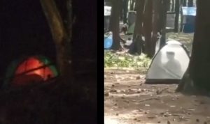 Viral Video Sejoli dalam Tenda Bergoyang, Pemkab Bogor Minta Pengelola Wisata Lebih Tegas