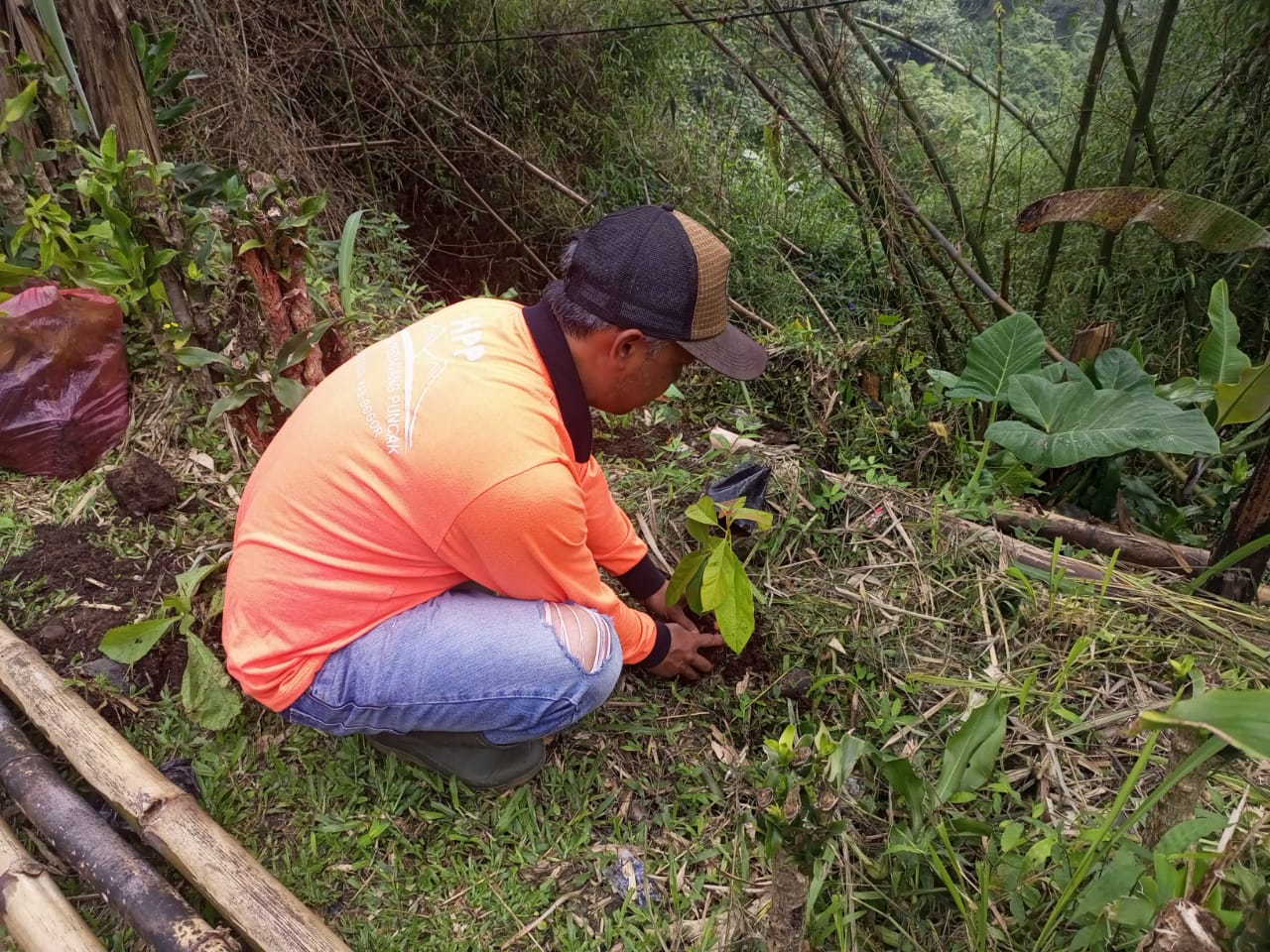 PEDULI LINGKUNGAN: Pedagang puncak saat menanamkan pohon di area Jalan Raya Puncak guna menghindari bencana longsor di Bogor. (SANDIKA FADILAH/JABARESKPRES.COM)