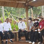 Presiden Joko Widodo didampingi Menteri Pertanian Syahrul Yasin Limpo berdialog dengan para petani agar mau menanam gandum untuk wujudkan ketahanan pangan nasional