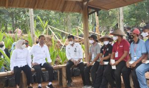 Presiden Joko Widodo didampingi Menteri Pertanian Syahrul Yasin Limpo berdialog dengan para petani agar mau menanam gandum untuk wujudkan ketahanan pangan nasional