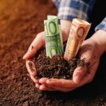 Tips Investasi Tanah untuk Karyawan, Dijamin Gak Bakal Ketipu!