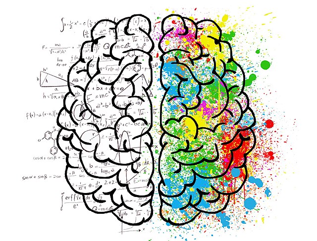 LINK Tes Ujian IQ Terbaru dan Paling Akurat November 2022, Uji Kecerdasan Otak Kamu di Sini