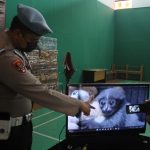 Polisi Menangkap Pelaku Perdagangan Hewan Dilindungi, Lakukan Transaksi Owa Jawa di Facebook