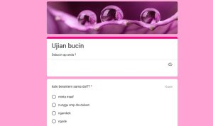 Lin Tes Ujian BUCIN via Google Form terbaru 2023