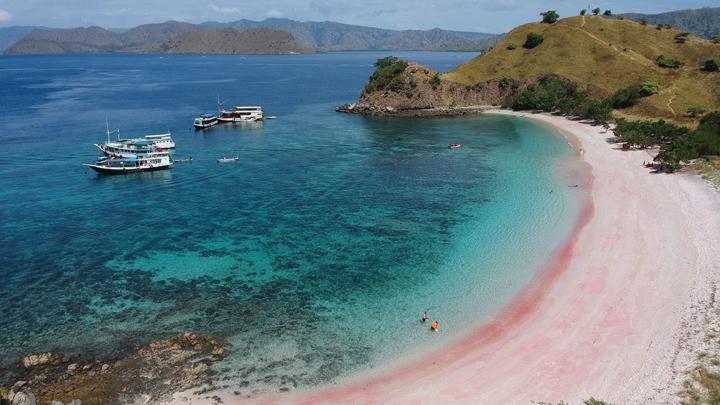 5 Reasons Why You Should Come To Komodo Island For Vacation