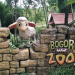 Shinta A Mayangsari akan buat laporan ke polisi terkait adanya dugaan jual beli binatang dilindungi yang ada di Bogor Mini Zoo