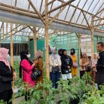 Nasabah PNM Gelar Studi Banding ke Petani Hidroponik di Lembang