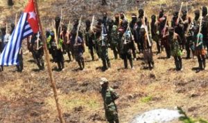 Tentara OPM Serang Warga Sipil di Papua hingga Tewas