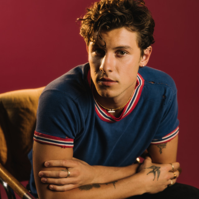 Lirik Lagu Shawn Mendes – It’ll Be Okay