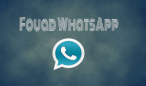 Download Fouad Whatsapp APK Terbaru 2023, Anti-Ban!