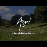 Lirik Dan Terjemah Lagu Angel – Sarah Mclachlan