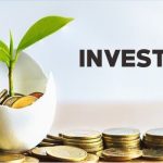 Investasi Menguntungkan Dan Menjanjikan Bagi Para Pemula