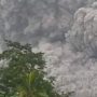 Update Terbaru Akibat Erupsi Gunung Semeru Sebanyak 1.979 Warga Dievakuasi, Jepang Hadapi Ancaman Tsunami