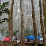 Talaga Surian Camp Park, Tempat Camping Hits Dan Recommended di Kuningan
