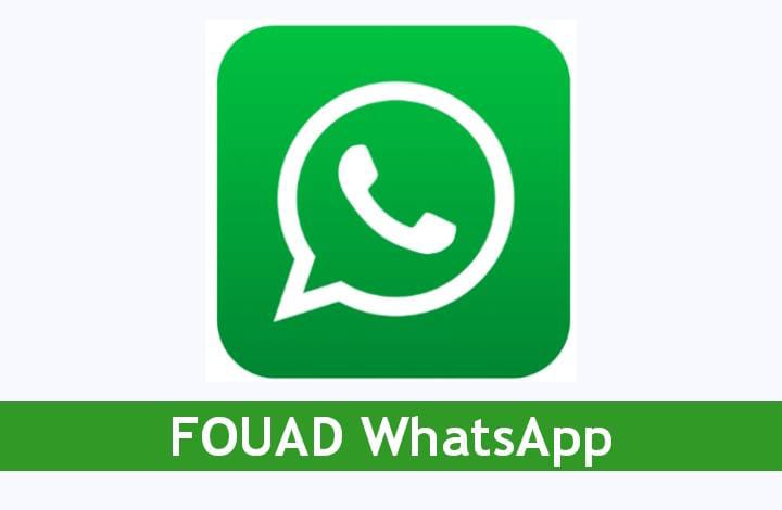 Tips Nyaman Pakai Fouad Whatsapp Anti Bug dan Kadalursa