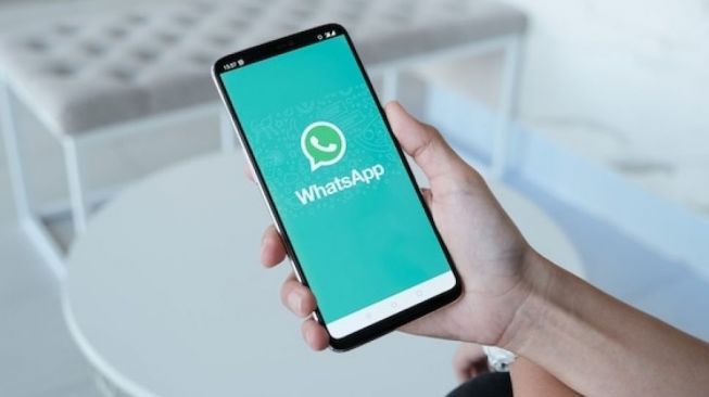 Download WA GB Apk Pro WhatsApp V.10.52 Anti Kadaluarsa Terbaru Gratis, Makin Banyak Update Menarik!