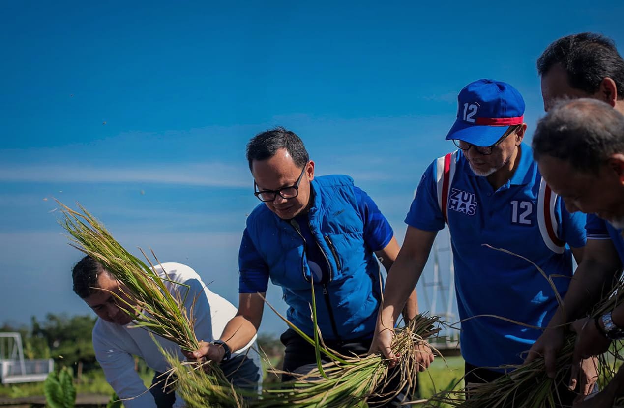 Menteri Perdagangan, Zulkifli Hasan didampingi Wali Kota Bogor, Bima Arya dan jajaran saat memotong padi organik di AEWO Mulyaharja, Kota Bogor, Sabtu (14/1). (Yudha Prananda / Jabar Ekspres)
