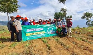 Untuk mengatasi lahan kritis di wilayah Bandung Utara, Relawan Ganjar Pranowo menggelar kegitan penghijauan dengan menanam pohon.