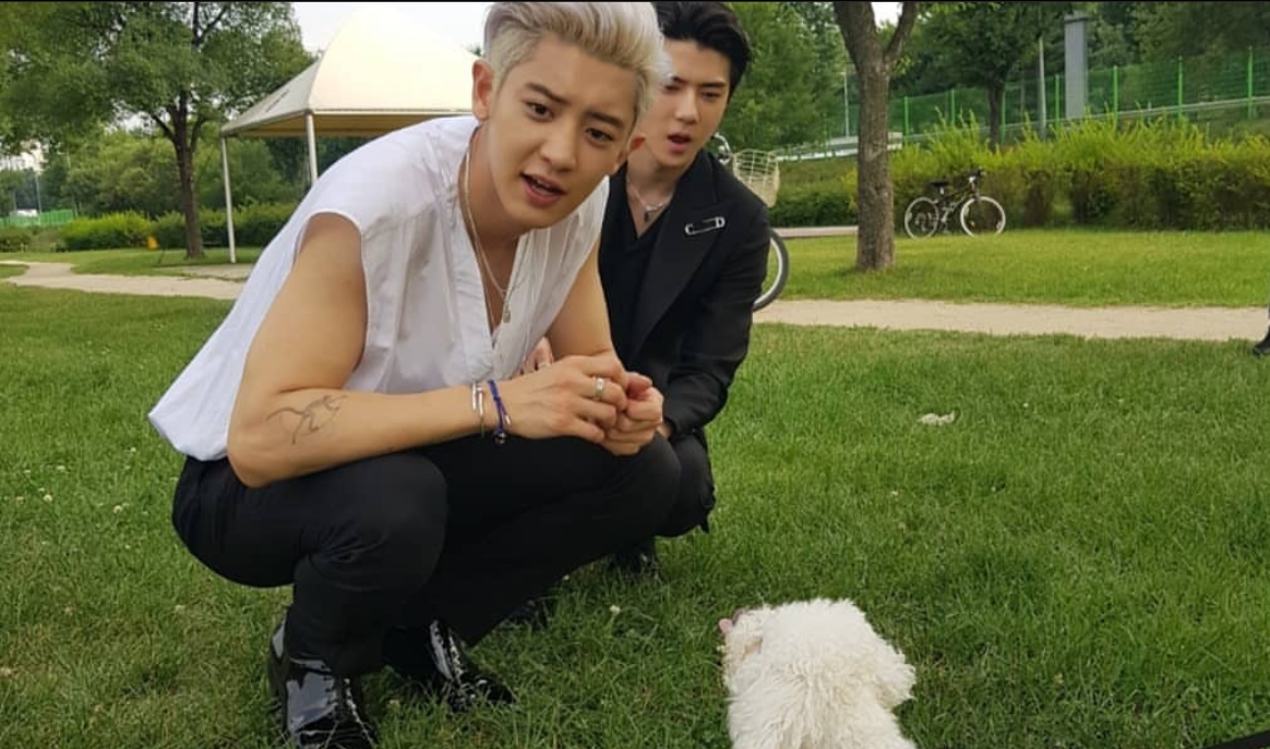 Terjemahan Indo Lagu Roller Coaster ― EXO SC (Sehun & Chanyeol) (sumber: akun Instagram @real_pcy)