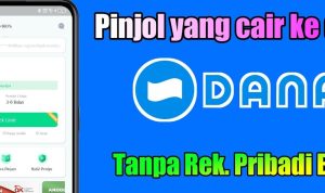 Aplikasi Pinjaman Online ( PINJOL) Langsung Cair ke Ovo dan Dana Tanpa Rekening Bank