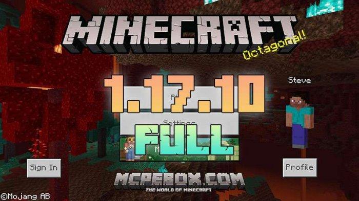 Minecraft Mod 01092021 