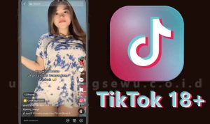 Download TikTok 18 Plus Apk V5.0 Terbaru Gratis 2023 Anti Banned, Tanpa Sensor Dengan Kualitas HD
