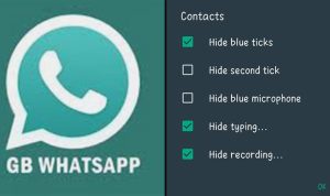 Download WA GB WhatsApp Apk Pro Tanpa Kadaluatsa, Cek Di Sini Makin Banyak fitur Menarik Gratis!