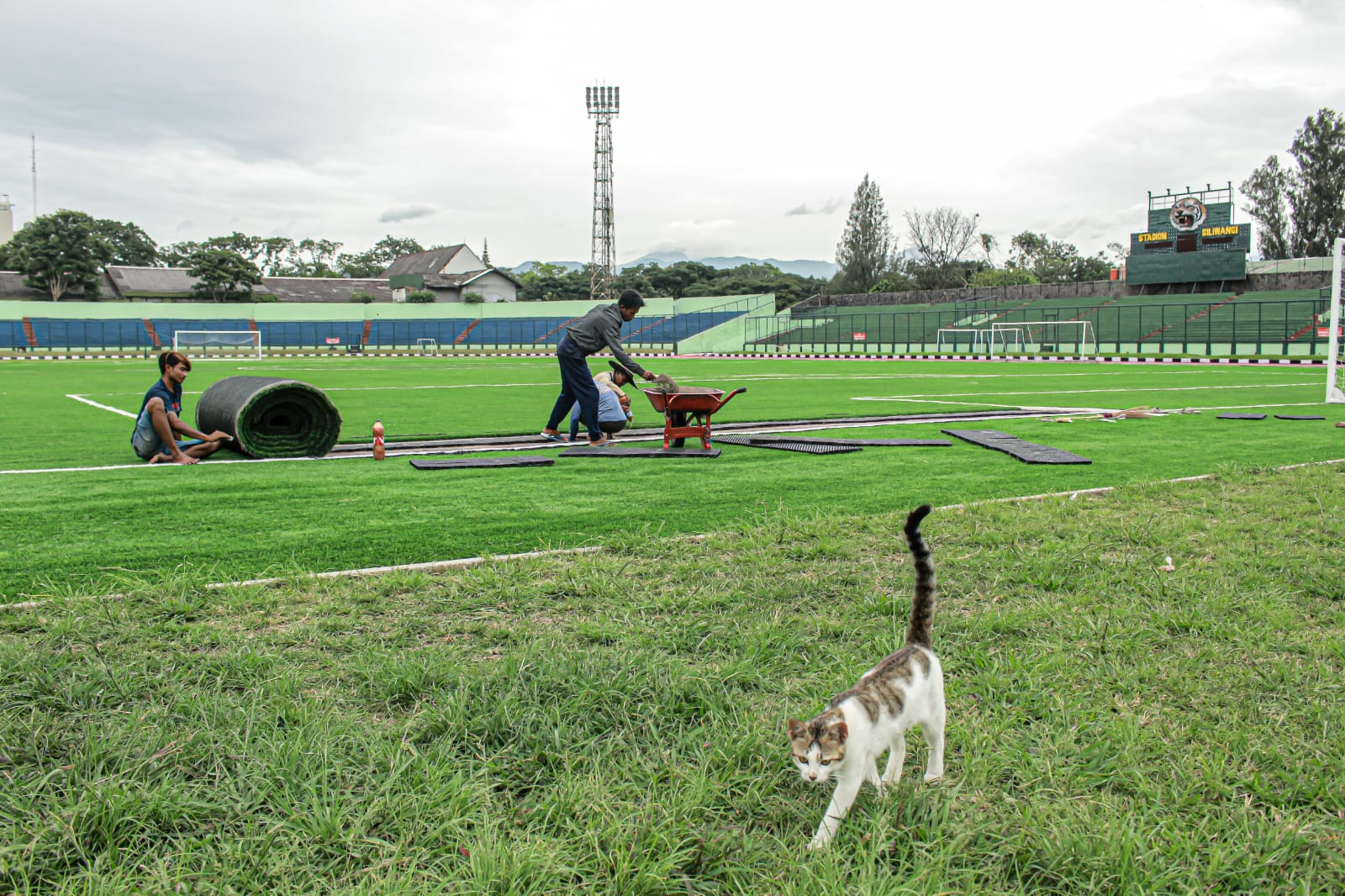 SIAPA PAKAI: Proses perawatan rumput Stadion Siliwangi Bandung yang akan dijadikan homebase Persib Bandung. (KHOLID/JABAR EKSPRES)