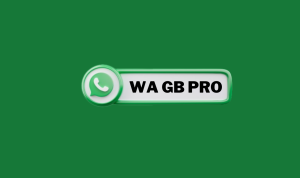 WA GB Pro Dengan Berbagai Fitur Menarik Untuk Di Mainkan!!